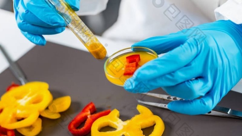 速冻食品设备型号解析：如何选择合适的设备